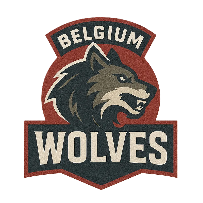 Home team logo